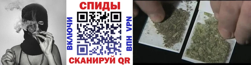 магазин    Белгород  omg рабочий сайт  Бутират бутандиол 