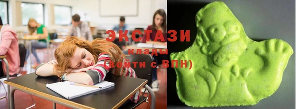 амф Гусев
