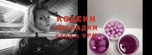 амф Гусев