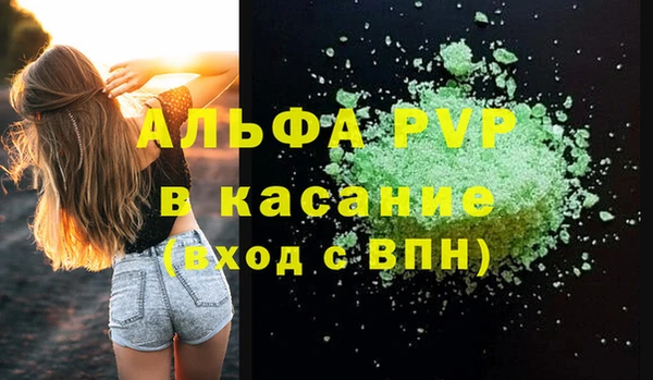 амф Гусев
