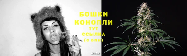 прущий лед Гусь-Хрустальный