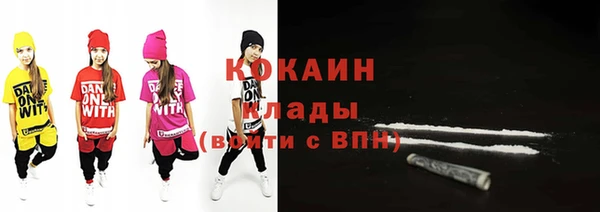 амф Гусев