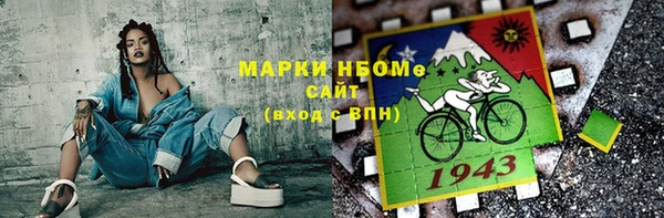 амф Гусев
