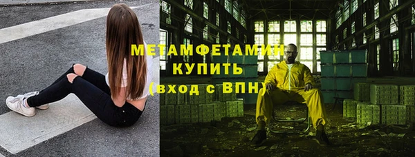 амф Гусев