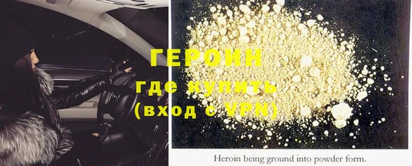 амф Гусев