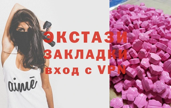 амф Гусев