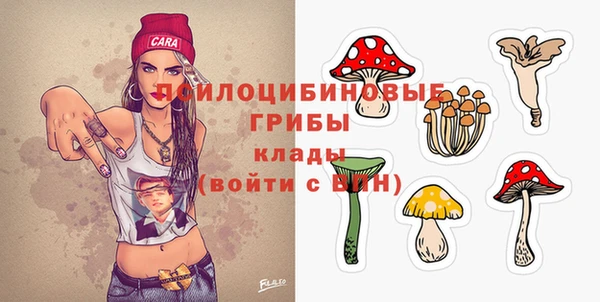 прущий лед Гусь-Хрустальный