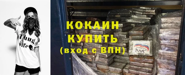 амф Гусев