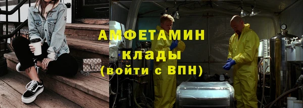 амф Гусев