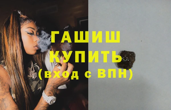 амф Гусев
